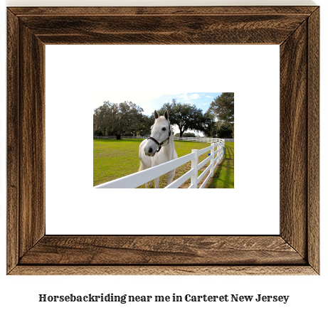 horseback riding near me in Carteret, New Jersey